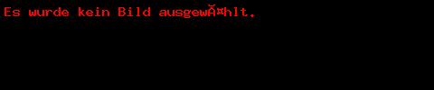 Banner der Kampagne: Whistleblower in Gefahr